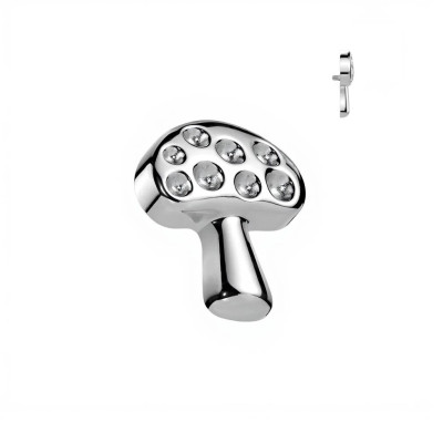 Top Seta de Titanio Grado Implante con Rosca Interna