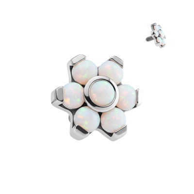 Top Fleur Opales Centre Biseauté Pétales en Griffes en Titane Grade Implant Filetage Interne