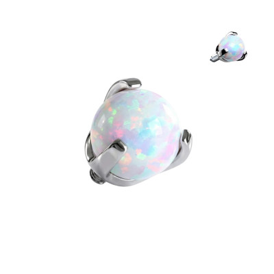 Top Boule Opale Sertie en Griffes en Titane Grade Implant Filetage Interne