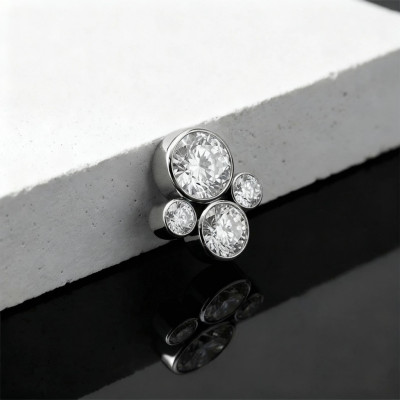 Top 4 Circonitas en Bisel de Titanio Grado Implante con Rosca Interna