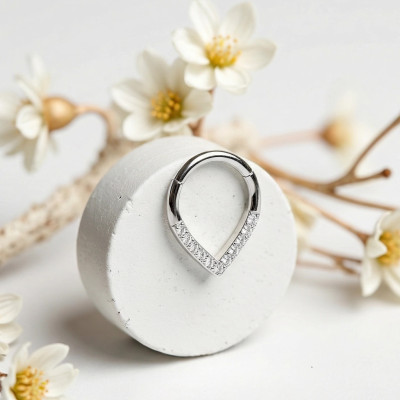 Implant Grade Titanium Hinged Segment Hoop Ring With Pave CZ Single Line Chevron