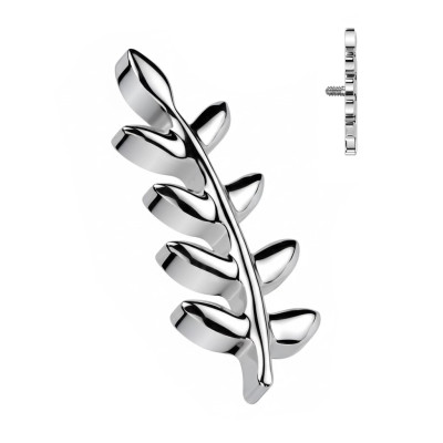 Implant Grade Titanium Internally Threaded Olive Leaf Top