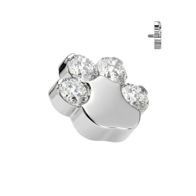 Implant Grade Titanium Internally Threaded CZ Paw Top