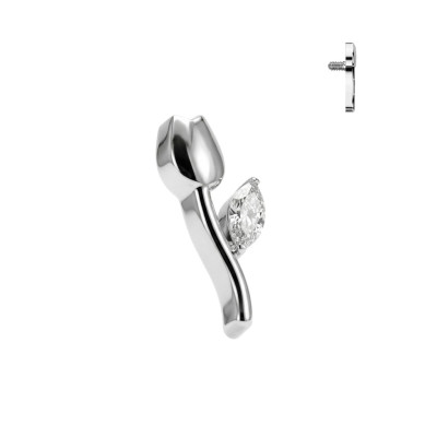 Implant Grade Titanium Internally Threaded Tulip Top With CZ Leaf