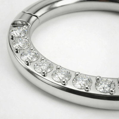 Aro con Bisagra de Titanio Grado Implante con Frente de Circonitas