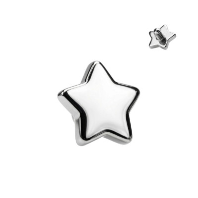 Implant Grade Titanium Internally Threaded Flat Star Top