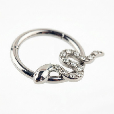 Implant Grade Titanium Snake With CZ Pave Body Segment Ring