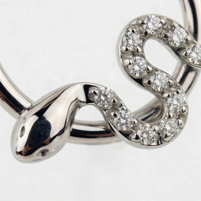 Argola com Serpente em Pavé de Zircónias e Dobradiça de Titânio Grau Implante