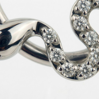 Argola com Serpente em Pavé de Zircónias e Dobradiça de Titânio Grau Implante