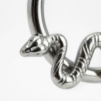 Argola com Serpente e Dobradiça de Titânio Grau Implante